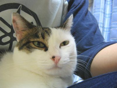 鋭い眼光と呼んでんか!