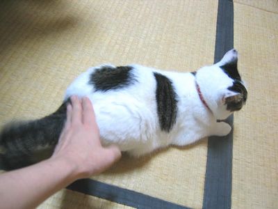 これくらいでは許さへんし!