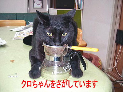 クロちゃんを探しています!