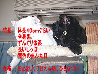 クロちゃんプロフィール