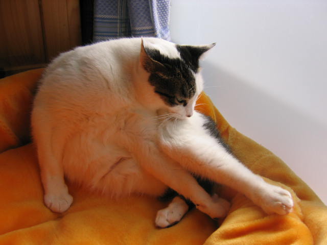 242_4223.jpg